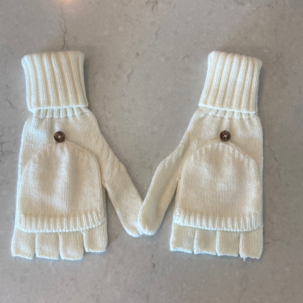 Brand New J Crew Gloves Brand New J Crew Gloves